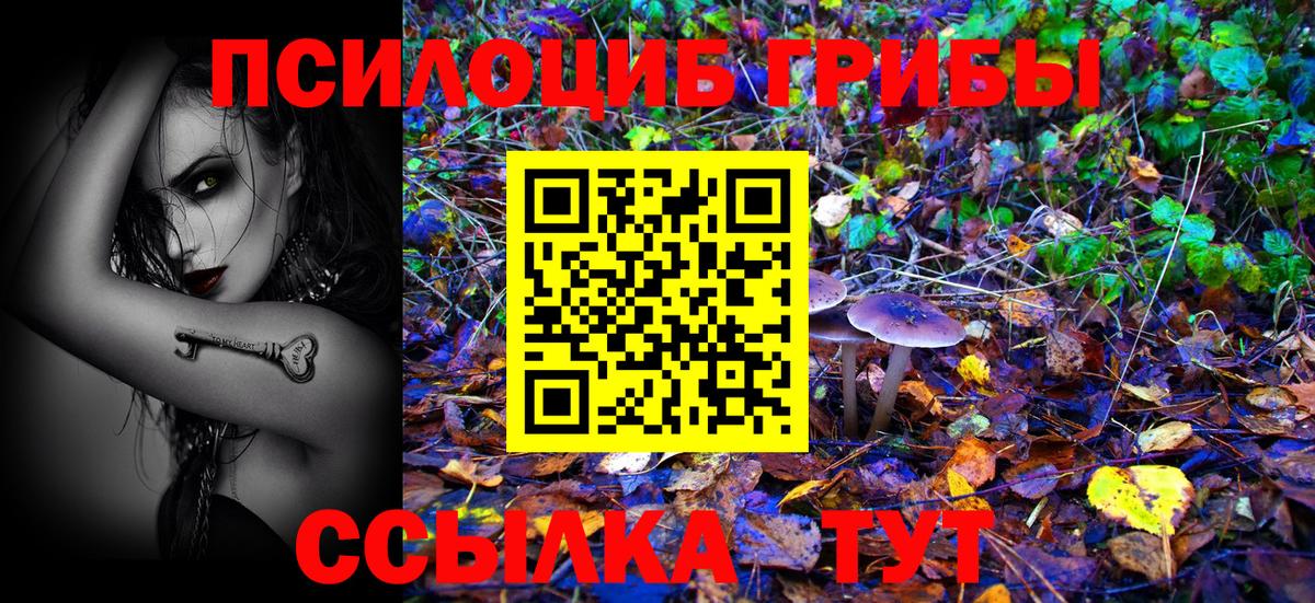 купить закладку  Псилоцибиновые грибы ЛСД  Вход с VPN  Коммунар 