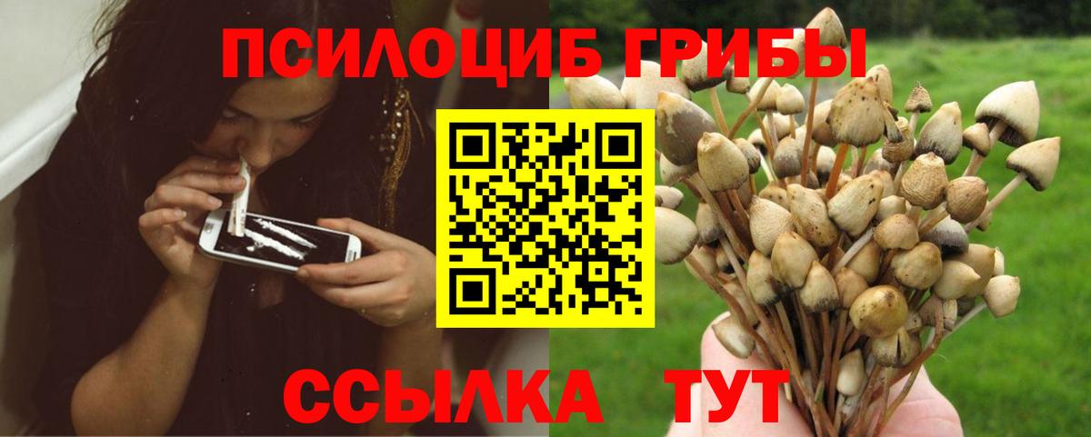 Псилоцибиновые грибы GOLDEN TEACHER Коммунар